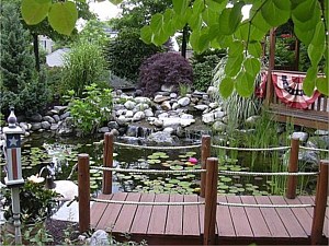 Ponds and Water Features