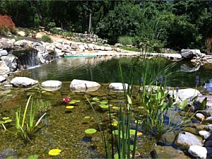 Eco-Pools.... Imagine the Possibilities